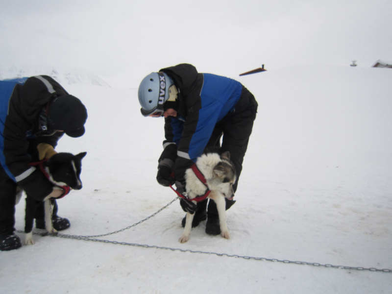 15 svalbard