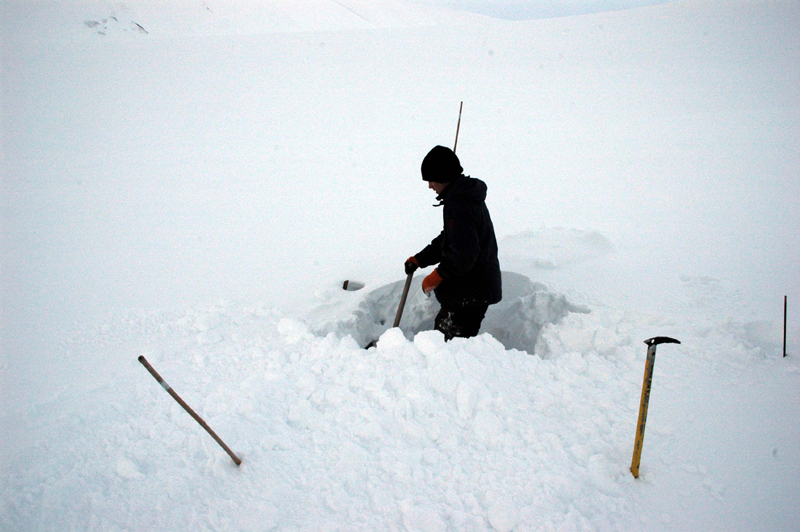 18 svalbard