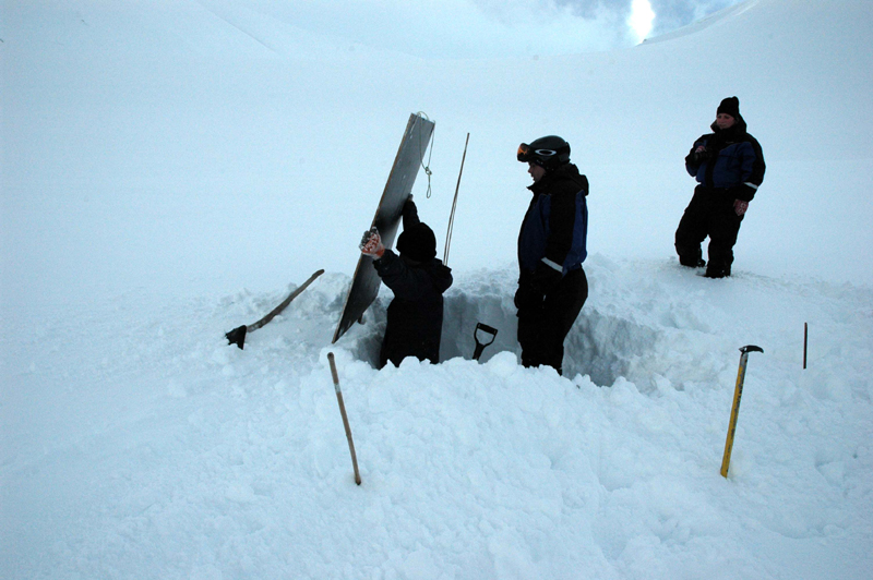 20 svalbard