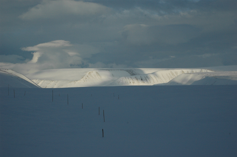32 svalbard