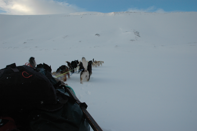 33 svalbard