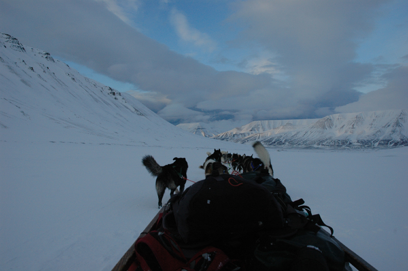 34 svalbard