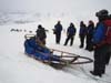 14 svalbard