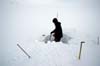 18 svalbard