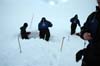 19 svalbard